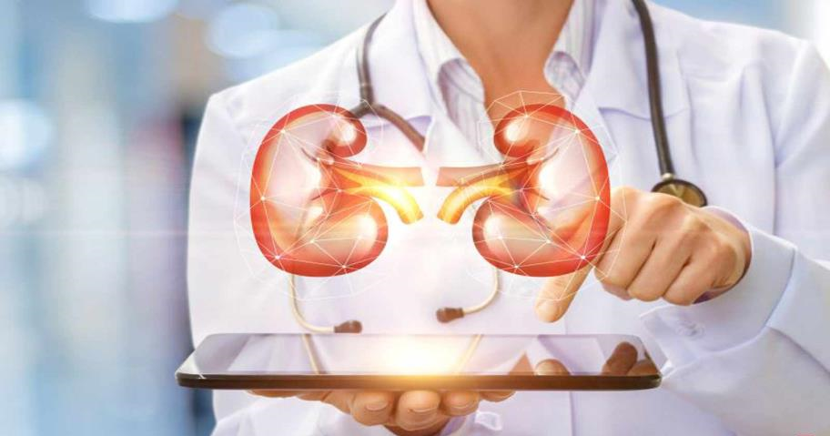 سرطان، سرطان کلیه